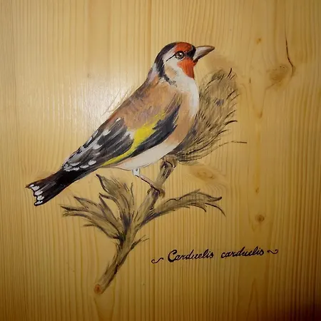 Galeno - 3 Cime View - 2* 아우론조디까도레