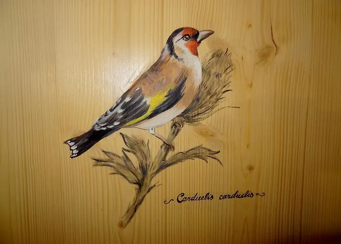 Galeno - 3 Cime Vista - 2* Auronzo di Cadore